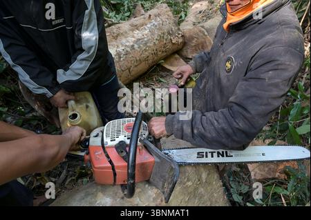 LAOS PDR, Provinz Salawan, Entwaldung, Baumschnitt mit deutscher Kettensäge STIHL mit doppelter chinesischer Klinge Sitnl, Befüllung von gebrauchtem Autoöl als Sägekettenschmierung / LAOS, Provinz Salavan, Entwaldung, Fälle von Bäumen, Altöl für Sägekettenschmierung Stockfoto