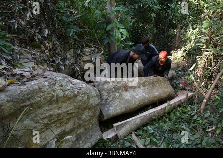 LAOS PDR, Provinz Salawan, Entwaldung, Baumschnitt / LAOS, Provinz Salavan, Entwaldung, Fälle von Bäumen Stockfoto