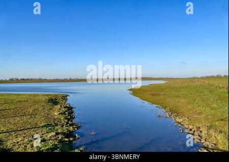 Landschaft mit Wasser im Naturschutzgebiet Bislicher Insel Stockfoto
