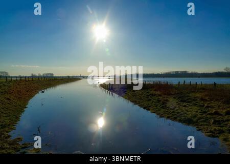 Landschaft mit Wasser und Sonne im Naturschutzgebiet Bislicher Insel Stockfoto
