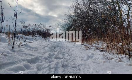 Schneebedeckter Winterwanderweg entlang des Feldrain Stockfoto