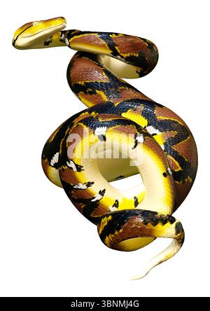 3D Darstellung einer retikulierten Python oder Python reticulatus, einer in Südostasien gefundenen Pythonart Stockfoto
