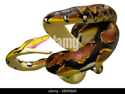 3D Darstellung einer retikulierten Python oder Python reticulatus, einer in Südostasien gefundenen Pythonart Stockfoto