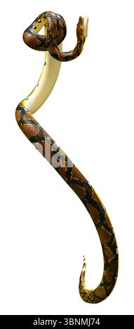 3D Darstellung einer retikulierten Python oder Python reticulatus, einer in Südostasien gefundenen Pythonart Stockfoto
