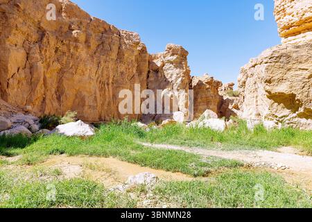 Canyon im Tal des Oued-Flusses in der Bergoase Tamerza, Tunesien Stockfoto