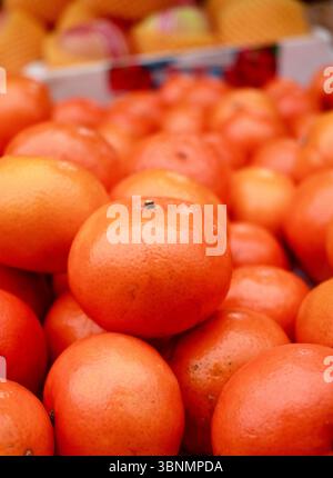 Mandarinen-Orangen, aus dem Ausland importierte Früchte, bunt und glatt, schöne Haut. Stockfoto