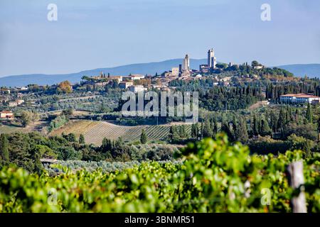 San Gimignano, Toskana Italien. Blick auf die Stadt über die Weinberge. Bekannt als die Stadt der fünf Türme verleihen der Stadt ihre unverwechselbare Skyline Stockfoto