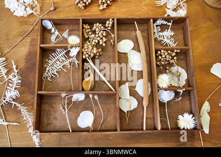 Handgefertigte getrocknete Blumenkollage in einem Vintage-Holzorganizer. Eine botanische Zusammensetzung aus Samenkapseln, Gräsern und Blüten erzeugt ein beruhigendes Ohr Stockfoto