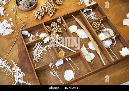 Handgefertigte getrocknete Blumenkollage in einem Vintage-Holzorganizer. Eine botanische Zusammensetzung aus Samenkapseln, Gräsern und Blüten erzeugt ein beruhigendes Ohr Stockfoto