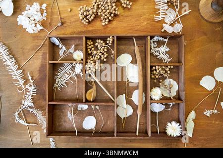 Handgefertigte getrocknete Blumenkollage in einem Vintage-Holzorganizer. Eine botanische Zusammensetzung aus Samenkapseln, Gräsern und Blüten erzeugt ein beruhigendes Ohr Stockfoto