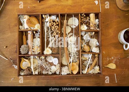 Handgefertigte getrocknete Blumenkollage in einem Vintage-Holzorganizer. Eine botanische Zusammensetzung aus Samenkapseln, Gräsern und Blüten erzeugt ein beruhigendes Ohr Stockfoto