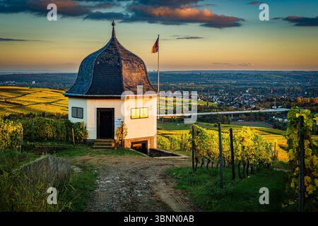 Weinberge auf der Bubenhäuser Höhe bei Rauenthal im Rheingau mit Weinberghütten, mystische Lichtatmosphäre im Goldenen Oktober Stockfoto