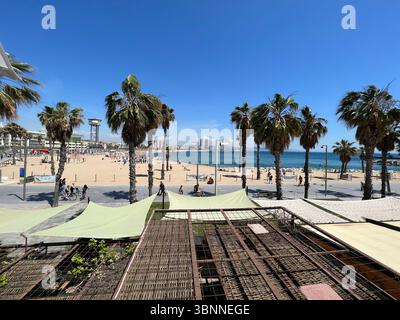 Ein sonniger Tag am Strand Barceloneta in Barcelona mit Palmen und dem Mittelmeer. Stockfoto