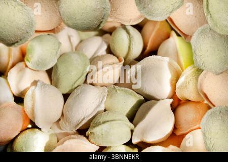 Bunte gefrorene Teigtaschen, gefüllt mit Fleisch, nicht gekocht. Stockfoto