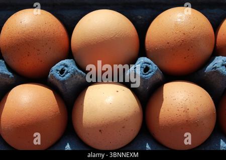 Eier in einem Papiertablett mit Blick oben. Stockfoto