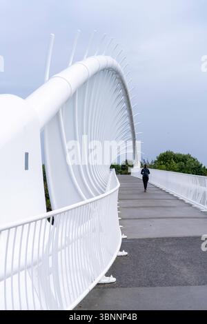Foto der Te Rewa Rewa Bridge in New Plymouth, Neuseeland an einem regnerischen Tag. Stockfoto