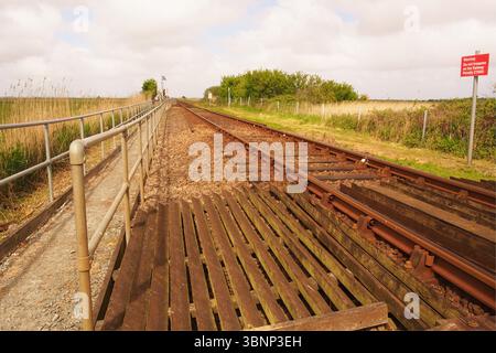 Vom Bahnhof Berney Arms aus blickt man nordöstlich entlang der eingleisigen Eisenbahnstrecke zu den entlegenen umliegenden Marshes, Norfolk, England Stockfoto