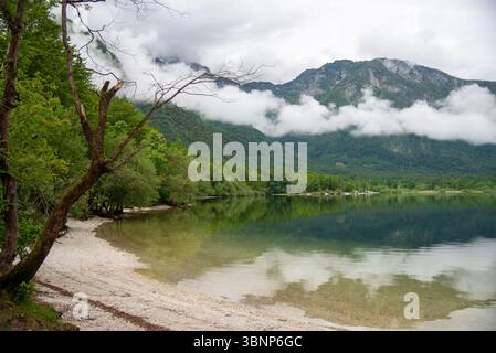Der berühmte Bohinjsko-See in Slowenien Stockfoto