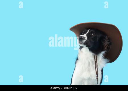 Niedlicher Border Collie Hund in Cowboyhut auf blauem Hintergrund, Großaufnahme Stockfoto