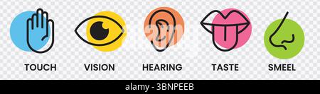 „Symbole Der Fünf Sinne – Symbole Für Berührung, Sehen, Hören, Geschmack, Geruch“ Stock Vektor