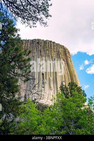 Basaltsäulen erheben sich am Devils Tower in Wyoming scharf aus Kiefern gepunkteten Hängen. Aufgenommen an einem teilweise bewölkten Nachmittag. Stockfoto