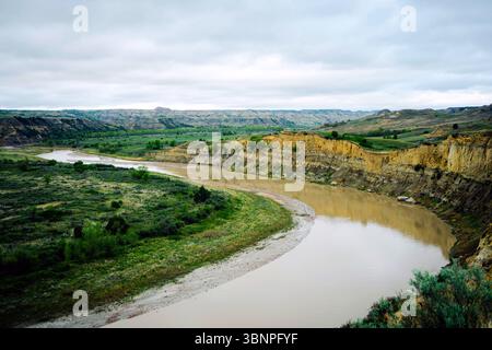 Der Little Missouri River schlängelt sich durch grüne Ebenen und geschnitzte Klippen im Theodore Roosevelt National Park. Bewölkter Himmel macht die Szene weicher. Stockfoto