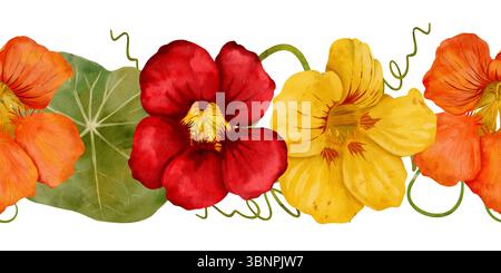 Eine atemberaubende und fesselnde Darstellung von lebhaften Kapuzinerknotenblüten in wunderschönen Rot-, Gelb- und Orangetönen. Handgezeichneter nahtloser Rand mit Aquarell auf weißem Hintergrund. Stockfoto
