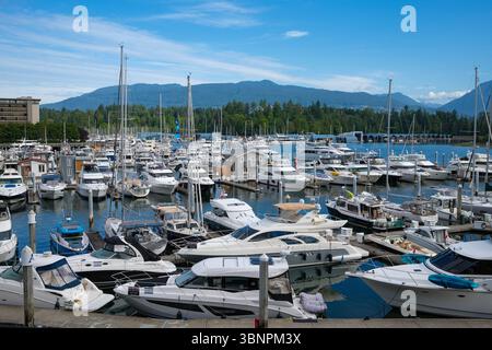 Coal Harbour Marina entlang der Seawall mit Stanley Park und den North Shore Mountains im Hintergrund, Vancouver, BC. Stockfoto