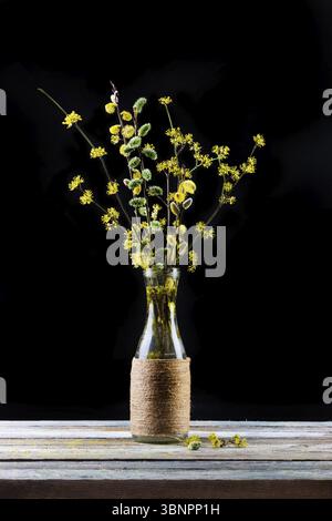 Bouquet von blühenden Ästen aus Weide und Dogwood in einer Vase auf dem Tisch auf schwarzem Hintergrund Stockfoto