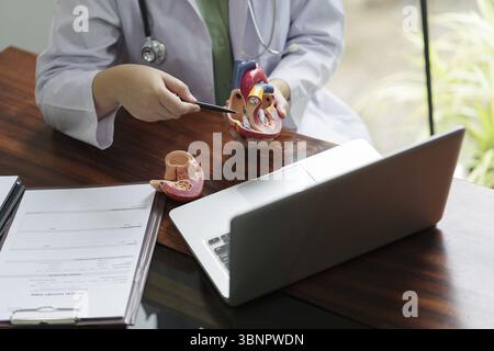 Telemedizinisches Konzept, Arzt erklärt dem Online-Patienten die Anatomie des menschlichen Herzens Stockfoto