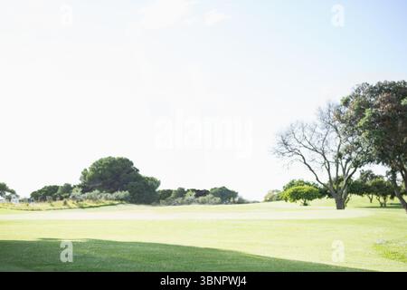 Das flache Design zeigt ein gepflegtes Gras, das sich unter klarem Himmel in Richtung Baumgruppen erstreckt Stockfoto