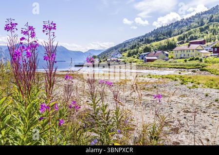 Pictureseque kleines Fischerdorf Eidsora am Tingvollfjorden in mehr og Romsdal County in Norwegen, Noorwegen Stockfoto