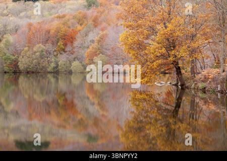 Santa Fe See, natürlichen Park von Montseny, Barcelona, Spanien Stockfoto