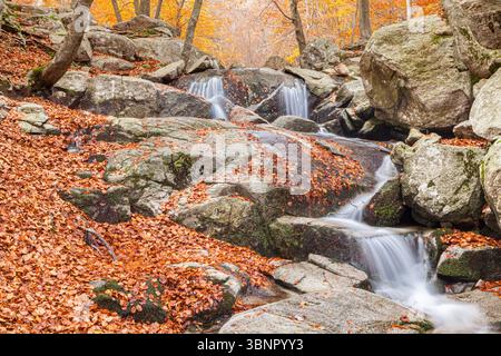 Santa Fe See, natürlichen Park von Montseny, Barcelona, Spanien Stockfoto
