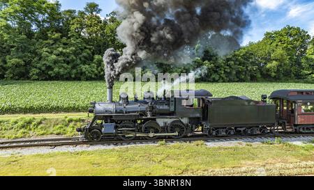 Eine Black Steam Lokomotive mit der Nummer 89, Puffing Thick Smoke, fährt entlang der Eisenbahngleise durch grüne grüne Felder mit Einem dichten Wald im Hintergrund Stockfoto