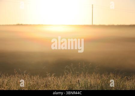 Sonnenaufgang über Nebelfeld in der Nähe von Soyen - goldenes Licht und Nebel über Gras in ruhiger ländlicher Landschaft Stockfoto