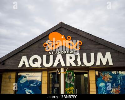 St Andrews Aquarium, St Andrews, Fife, Schottland, Vereinigtes Königreich, GB Stockfoto