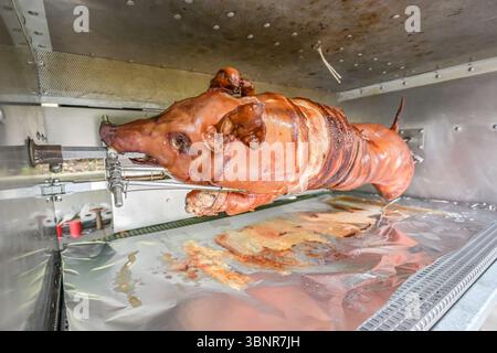 Grillen Sie mit Jungschwein auf einem Grill, ganzer gebratener Ferkelkörper, der sich auf dem Grill dreht. Großes Barbecue beim Kochen von Fleisch. Stockfoto