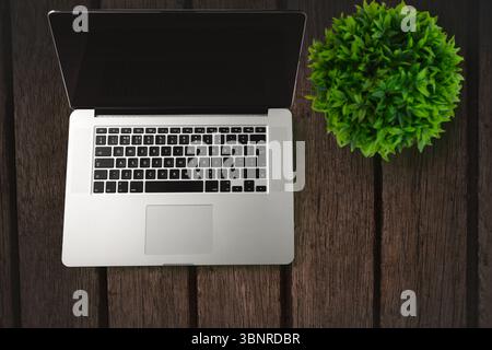 Flaches Design, offener silberner Laptop auf verwittertem Holztisch mit grüner Topfpflanze Stockfoto