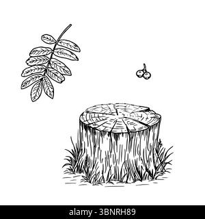 Stumpf am Waldrand in Gras und Aschezweig, schwarz-weiße Skizze. Vektorabbildung. Herbst- und Sommerkomposition ist isoliert Stock Vektor