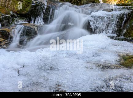 Wasser kaskadiert über glatte Steine in einem ruhigen Wald Stockfoto