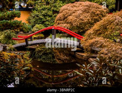 Ruhige rote Brücke über einen ruhigen Teich in üppiger Gartenanlage Stockfoto