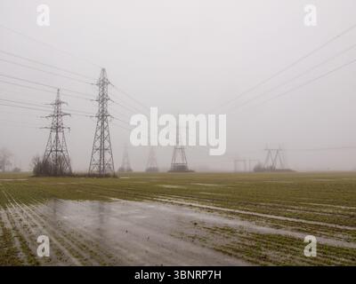 Hochspannungsleitungen bei dichtem Nebel über einem grünen Feld, Estland, Energieinfrastrukturkonzept. Stockfoto