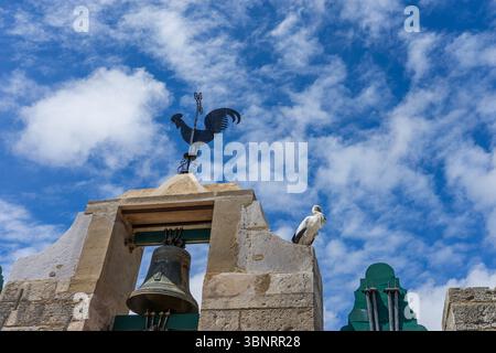 Storch thront auf einem historischen Kirchturm mit Wetterfahne, blauem Himmel, Faro, Algarve, Portugal. Stockfoto