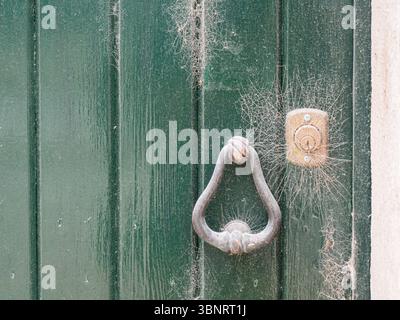 Alte grüne Holztür mit Eisenklopfer und Spinnweben, Algarve, Faro, Portugal. Stockfoto