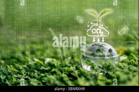 Ein konzeptionelles Bild, das die ökologische Nachhaltigkeit repräsentiert. Eine junge Pflanze nimmt CO2 aus einer Wolke über einer Glaskugel auf, die in einem lebhaften grünen Gras liegt Stockfoto