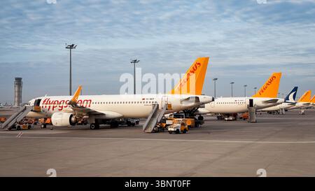Zahlreiche Flugzeuge parken am Flughafen von Istanbul und die Bodencrew bereitet sich auf den Abflug im frühen Morgenlicht vor. Stockfoto