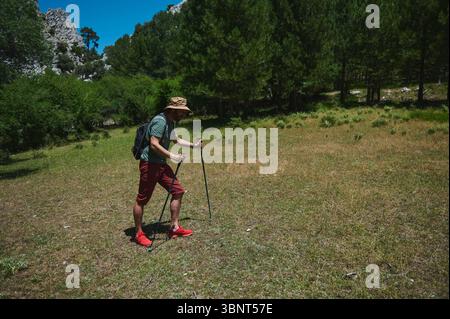 Ein junger Mann mit Hut und Wanderstöcken spaziert an einem sonnigen Tag durch einen grünen Wald, wo er Outdoor-Aktivitäten und Naturerlebnisse genießt Stockfoto