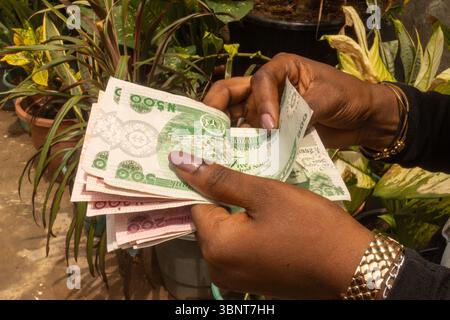 Eine Nahaufnahme einer Person, die eine goldene Armbanduhr und ein Armband trägt, während sie nigerianische Naira-Banknoten im Freien zählt, was Finanzen und Ausgaben symbolisiert Stockfoto
