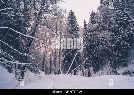 Bild aus dem Tal des Flusses Olterudelva, Toten, Norwegen, im Winter. Stockfoto